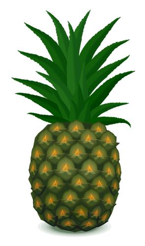 Ananas di disegno