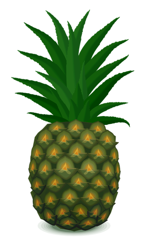 Çizim ananas