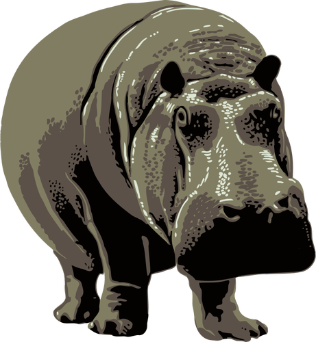 Gambar vektor dari hippo