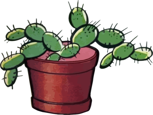 Image de cactus