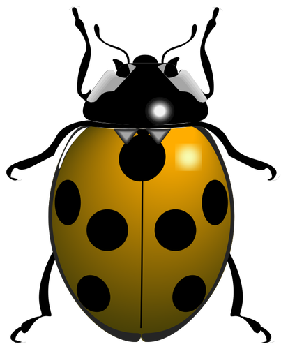 Ladybug symbol