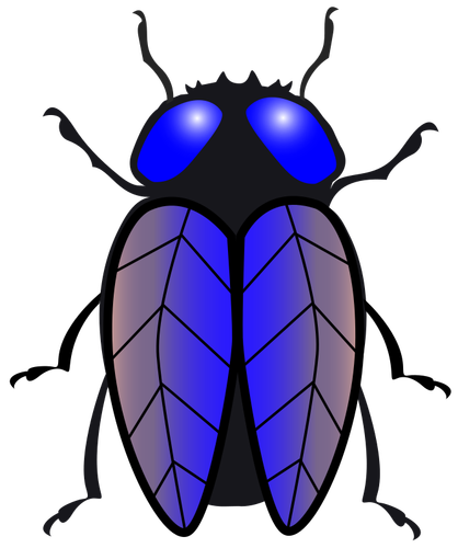 Gambar lalat
