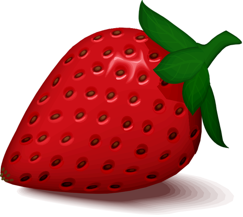 Erdbeer-Vektor-Bild