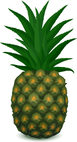 Immagine di vettore di ananas verde