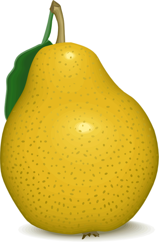 Obraz wektor żółty gruszka