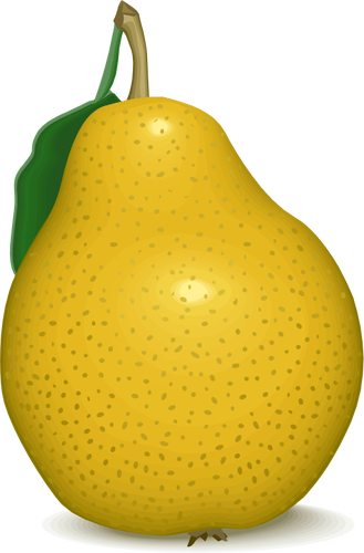 Yellow pear vector image