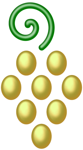 녹색 포도의 낱 단