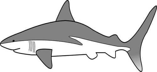 Yksinkertainen hai