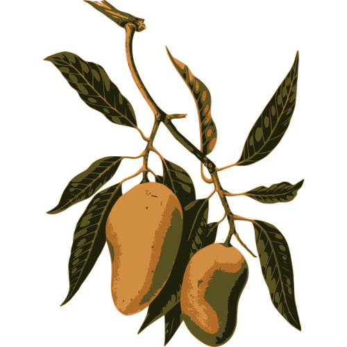 Ramo di frutta al mango