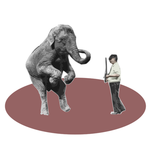 Sirkusesitys elefantin kanssa