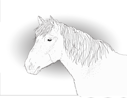Disegno di vettore di un cavallo