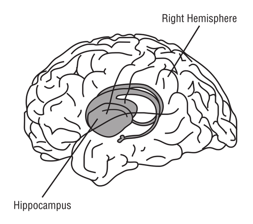 Hjärnan vektor illustration