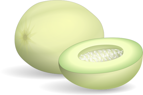 Melon miód spadziowy całą i połowę wektor clipart