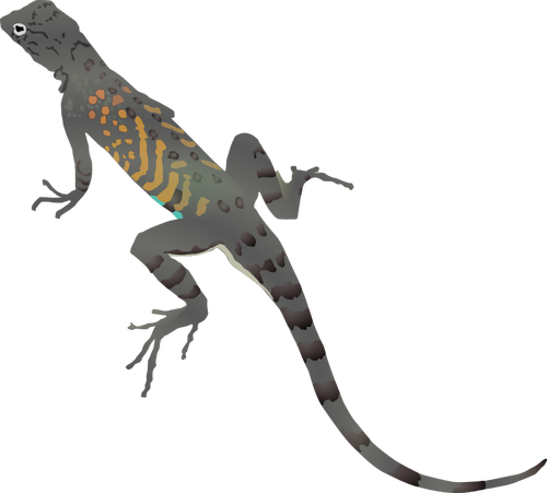 Ilustração de lagarto colorido