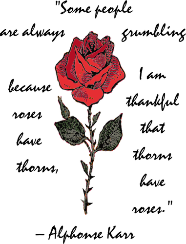 Róża z tekstem