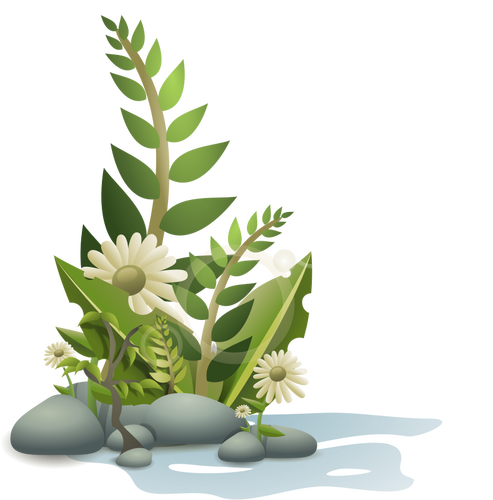 Planten keien en bloemen vector