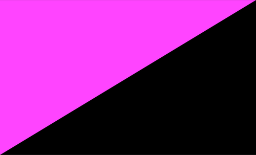 Vektorbild anarko-queer flagga