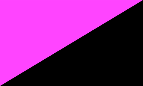 Vector afbeelding van anarcho-queer vlag