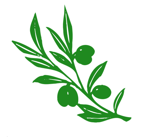 Olive tree cabang vektor gambar