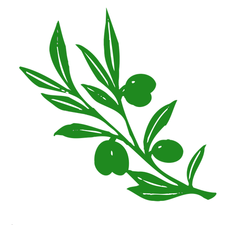 Olive tree branch vector afbeelding