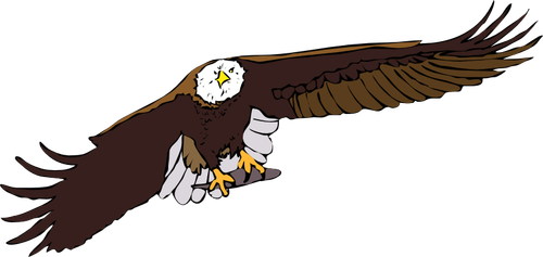Gráficos vectoriales águila calva