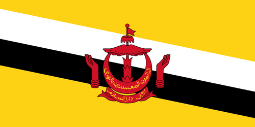 Flagg Brunei Darussalam vektor image