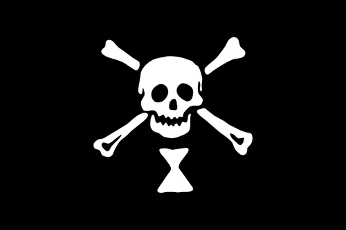 Pirate flag skull and bones vector image