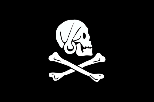 Pirátská vlajka kosti a lebky vektorový obrázek