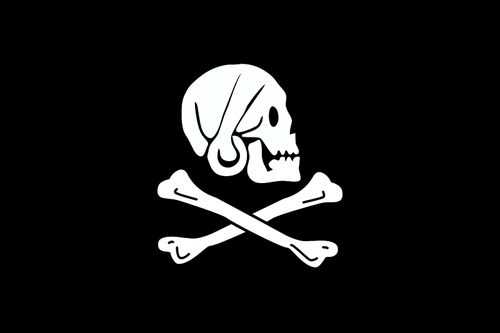 Pirate flag bones and skull vector image