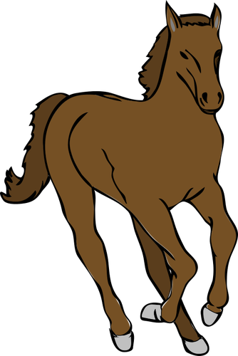 Vector de la imagen del caballo joven