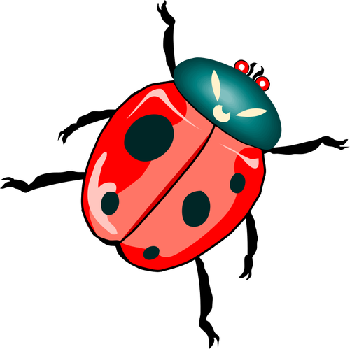 Ladybug illustration