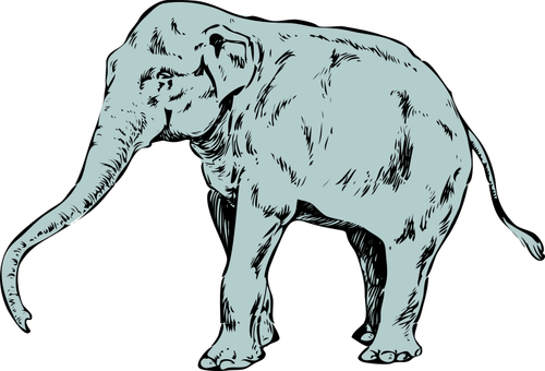 Vektor ClipArt-bilder av unga blå elefant