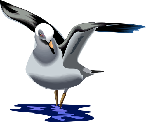 Grafika wektorowa Seagull latające w górę