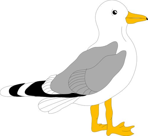 Desenho de gaivota com penas cinzas
