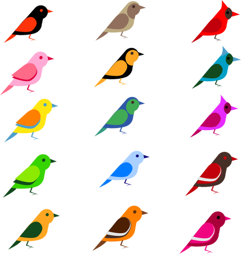 多样的鸟类