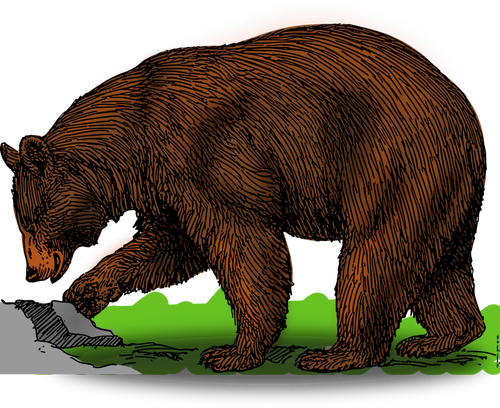 Farbige Bär auf einem Spaziergang-Vektor-illustration