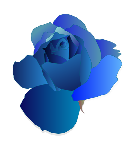 Rose bleue