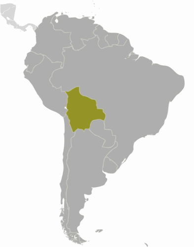 Harta Bolivia