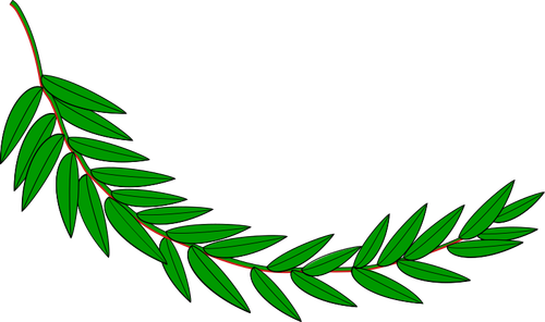 Grønne laurel