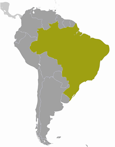 Vector de mapa de ubicación de Brasil dibujo