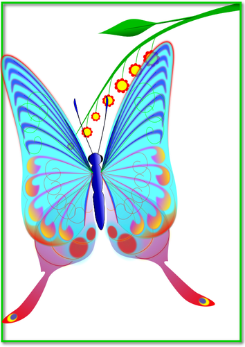 Mariposa con muchos colores
