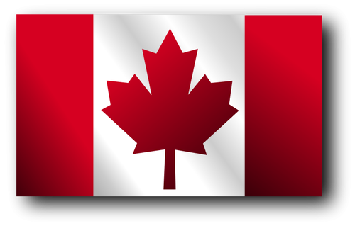 Canadian flag vector illustration