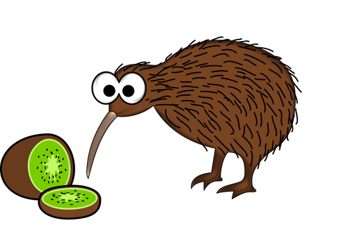 Kiwi fuglen med Kiwi