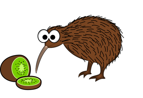 Ptaków kiwi z kiwi