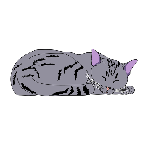 Sleping gato