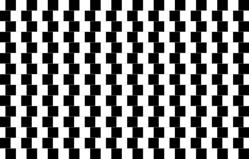 Black and white checkerboard illusion vector image