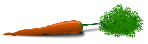 Immagine vettoriale di carota