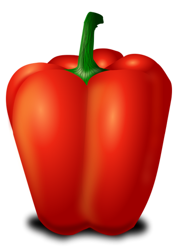 Paprika-Frucht-Vektor-Bild