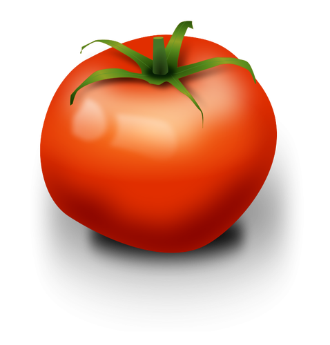 Imagem vetorial de tomate
