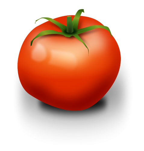 Tomaten-Vektor-Bild